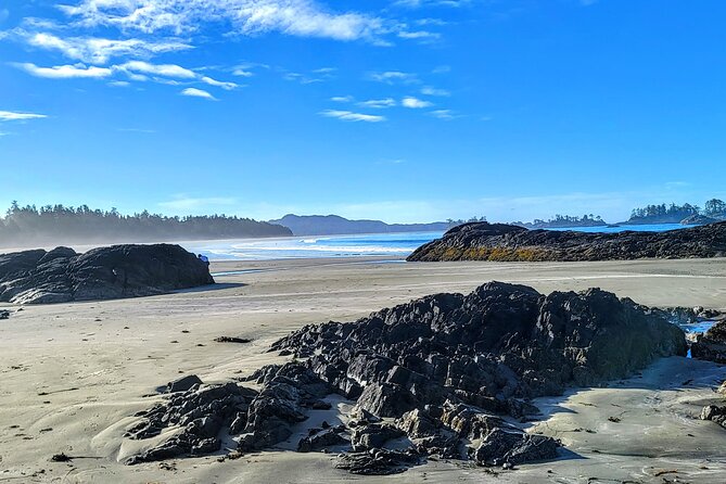 Vancouver to Tofino 2 Day Tour Private - Accommodation Options