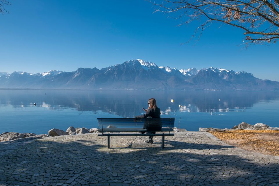 Vevey's Holiday Charm: A Festive Lakeside Stroll - Perdonnet Quay and Lakeside Views