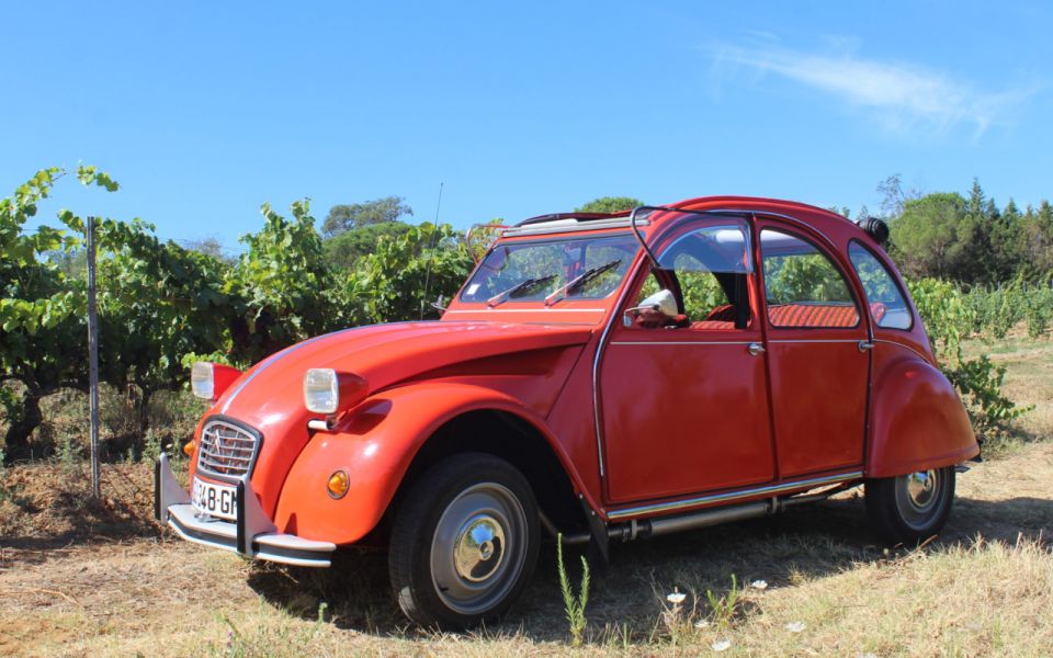 Vintage Wine Tour in Saint-Tropez - Wine Estate Visits