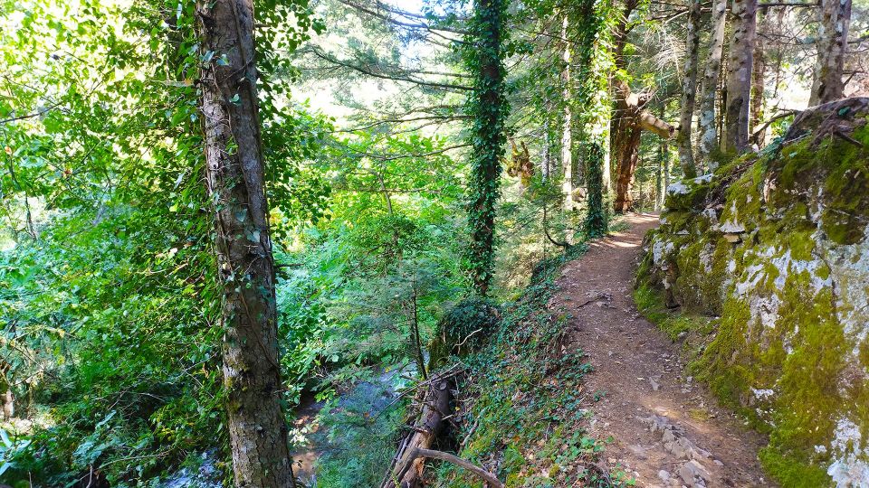 VIP Day Tour From Athens: Pavliani Forest Park TREK - Natural Environment