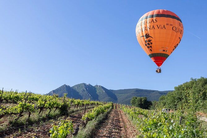 Visit to the Winery With Wine Tasting and Appetizers in Navarra - Sampling the Local Cuisine