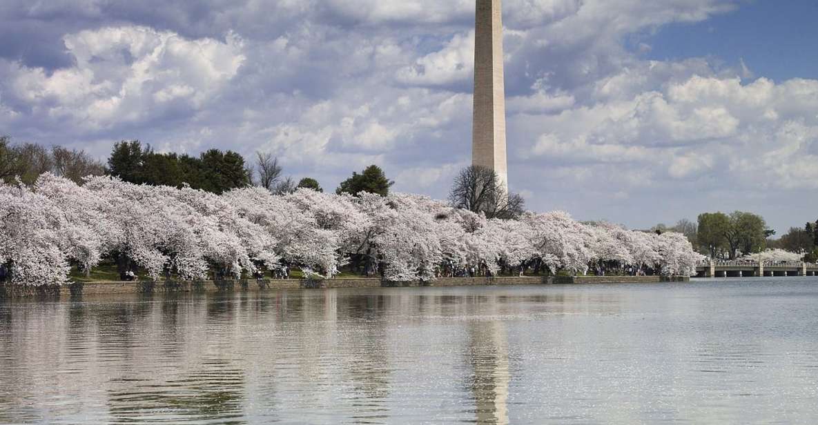 Washington Dc: Half-Day Bus Tour With Optional Museum Ticket - Cancellation and Refund Policy