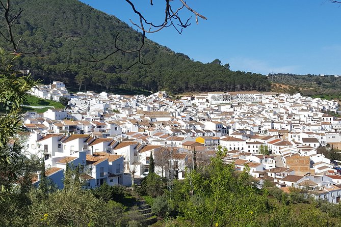 Wine & Tapas Tour by Electric Bike (E-Bike) Including Ronda Pickup (Full Day) - Additional Information