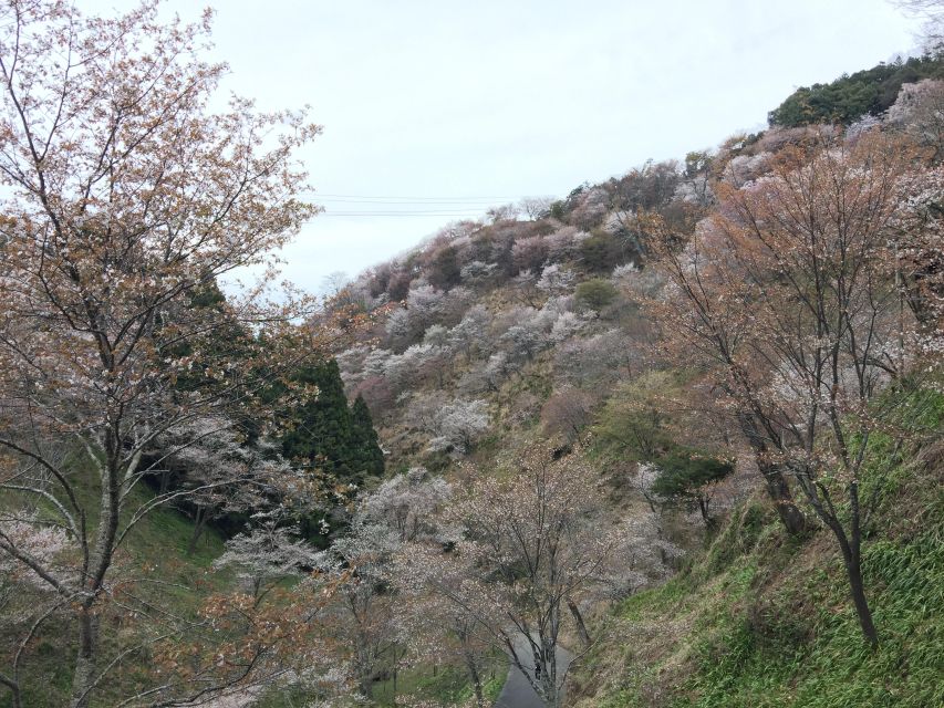 Yoshino: Private Guided Tour & Hiking in a Japanese Mountain - Pickup Locations