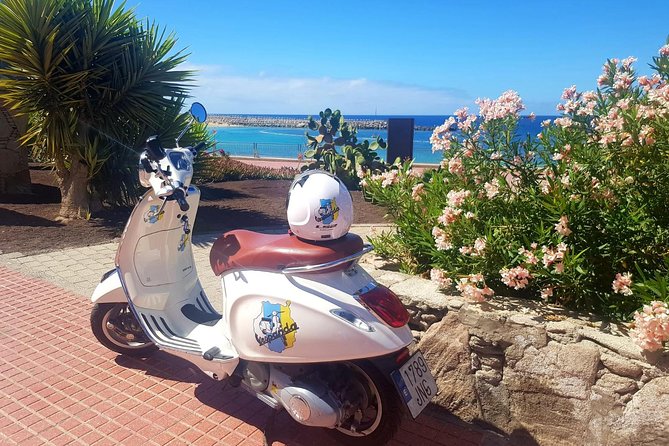 1 Day Vespa | Gran Canaria by Vespa GPS Guided Tour - Customer Reviews