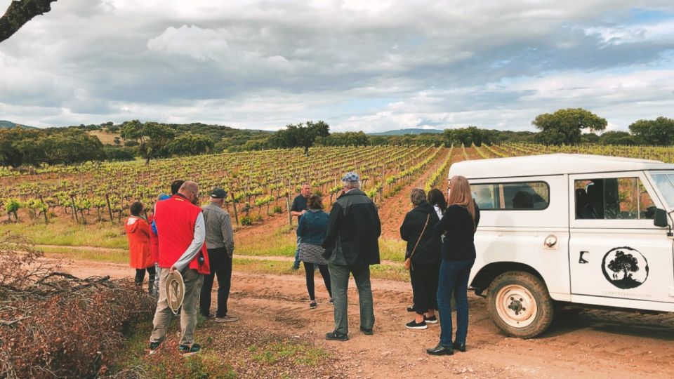 2hr Cork Safari in a Classical Land Rover - Farms Shop Offerings