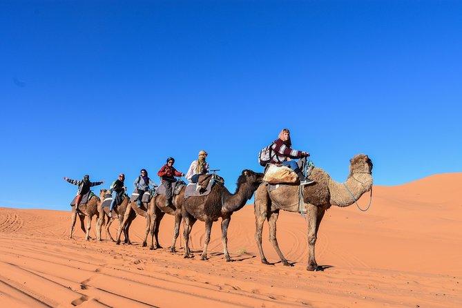 3 Days Desert Tour From Fez to Marrakesh via Merzouga Erg Chebbi - Berber Tent Overnight Stay