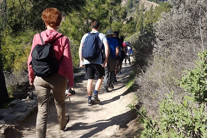 3-Hour Hiking Experience in Roque Nublo - Cancellation Policy