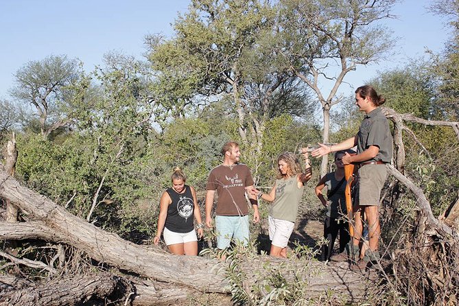 4 Day Classic Kruger National Park Safari - Blyde River Canyon Visit