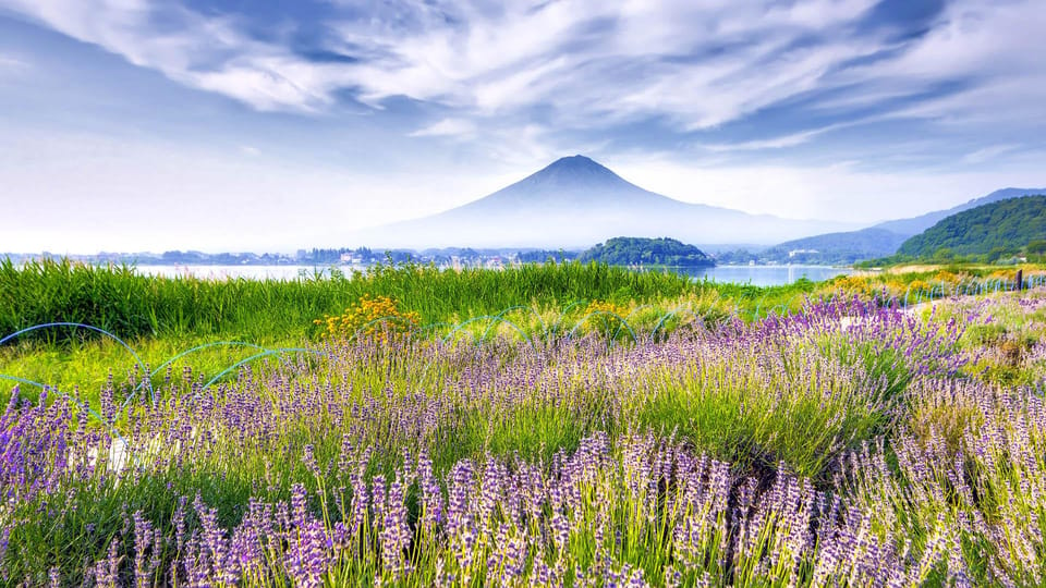 4-Day Private Tour MT Fuji, Kamakura, Hakone, Nikko - Booking and Customization