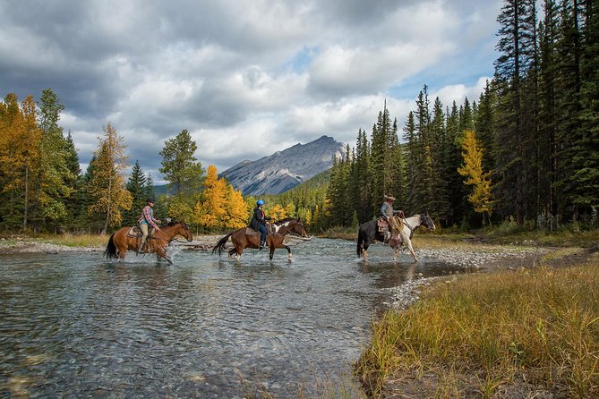 4 Hour Sulphur Mountain Horseback Ride - About the Ride