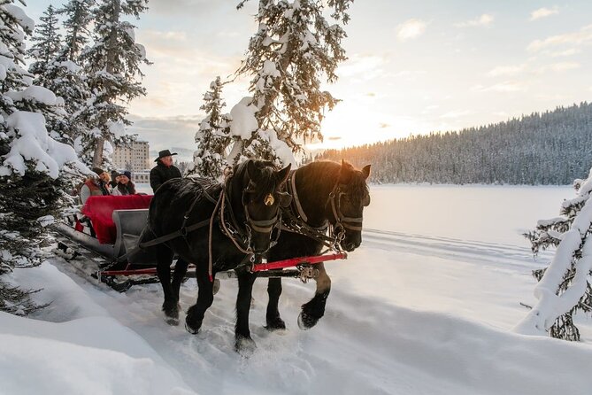 6-Day Winter via Rail Semi-Guided Tour From Vancouver to Calgary - Advance Communication