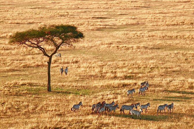 8-Day Essence of Tanzania Safari - Luxury - Additional Information