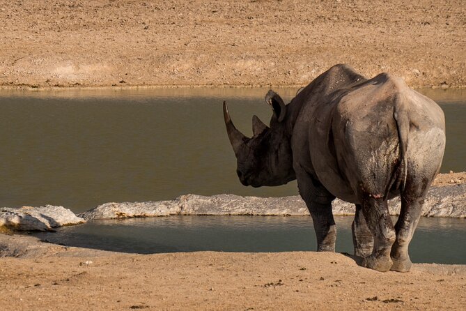 9 Day Canyons, Dunes & Wildlife Camping and Lodge Safari - Quiver Tree Forest