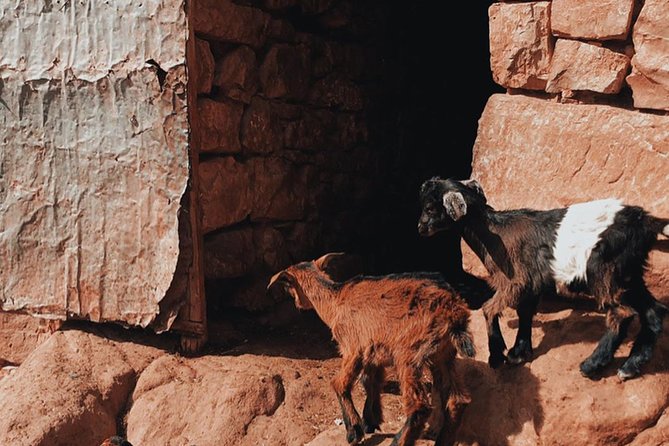 Agafay Desert: Three Valley Guided Tour From Marrakech - Booking and Reservations