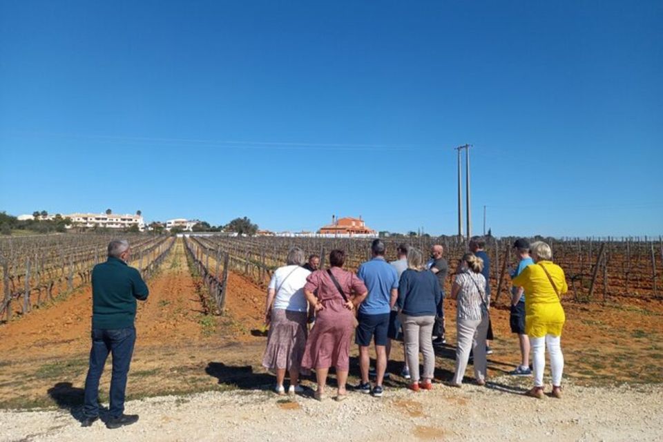 Albufeira: Winery Tour With Wine Tasting and Tapas - Exploring Albufeiras Wineries