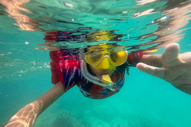 All Day Snorkeling Gear Rental in Puerto Rico - Reviews and Ratings