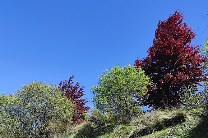 Alpujarra Private Daytrip From Granada - Lunch Included