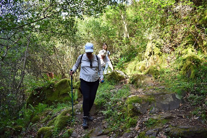 An Adventure Through the Schist Villages of Lousã (With Walk) - Reviews and Feedback