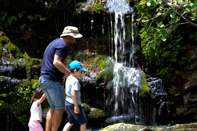 Andros Town, Pythara Waterfall, Menites Springs: Half-Day Tour - Destination Highlights