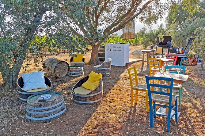 Archeology, Visit to a Vineyard and Wine and Pecorino Cheese Tasting - Nuraghe Gulunie Viewpoint