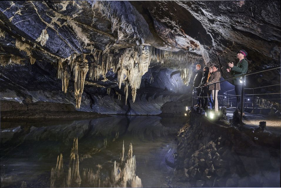 Ardennes: Caves of Han & Wildlife Park Bundle Entry Ticket - Visitor Information and Accessibility