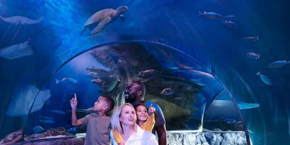 Auburn Hills: Legoland and Sea Life Aquarium Combo Ticket - Customer Reviews