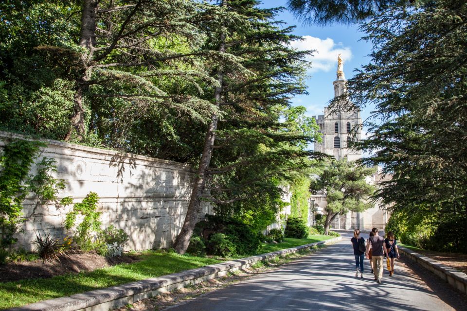 Avignon: City Walking Tour With Popes Palace Entry - Cancellation Policy