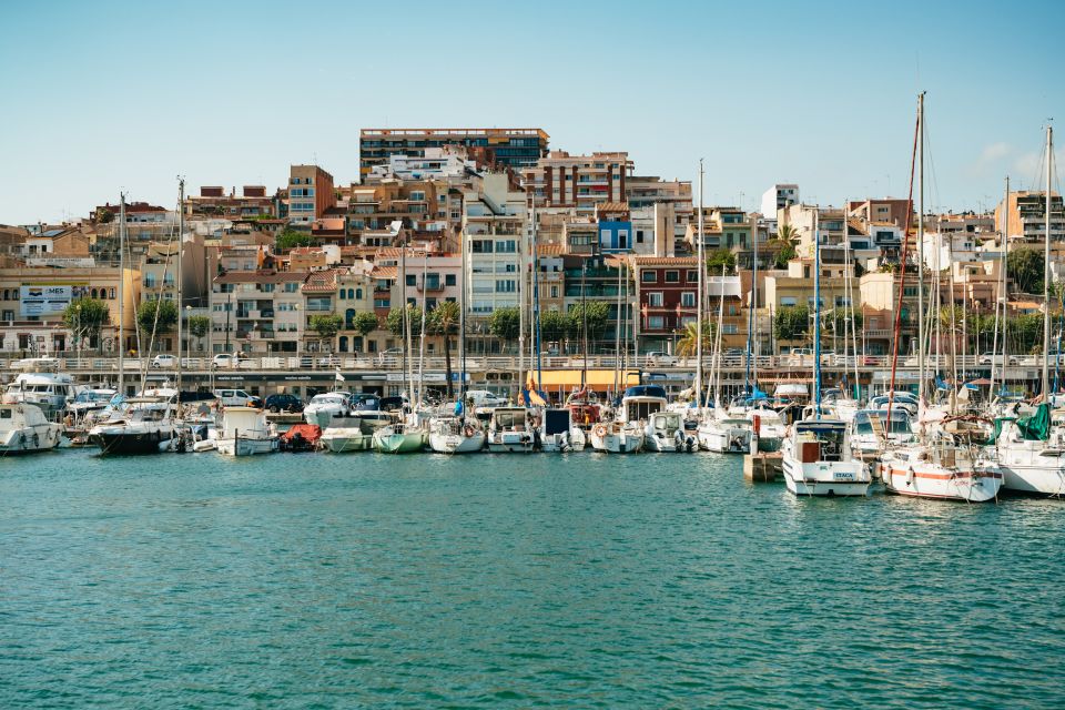 Barcelona: Sailing Cruise & Vineyard Tour With Wine Tasting - Customer Reviews and Ratings