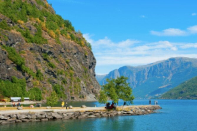 Bergen to Flam The King of Fjords One-Way or Round-Trip Cruise Ticket - Meeting Point and Return Location