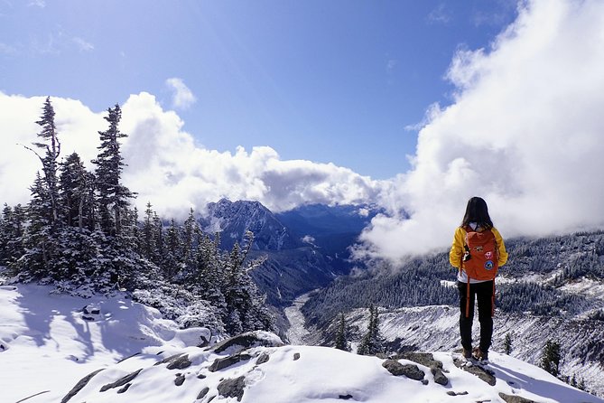 Best of Mount Rainier National Park From Seattle: All-Inclusive Small-Group Tour - Wildlife Observation and Photography