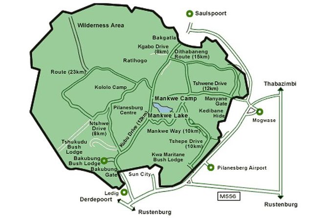 Big 5 Safari Experience at Pilanesberg National Park - Tour Duration and Schedule