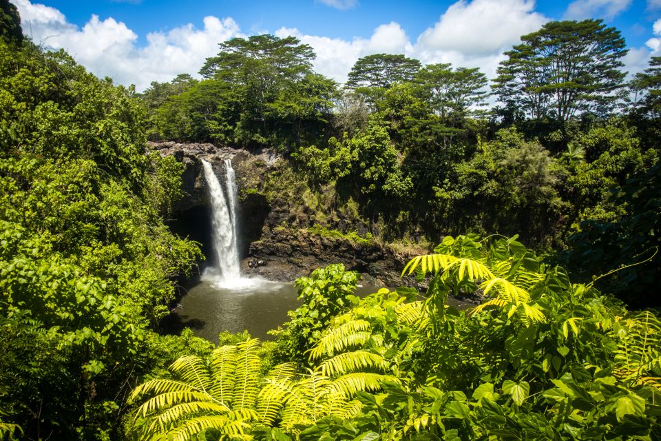 Big Hawaii: Private Guided Van Tour - Visiting Akaka Falls