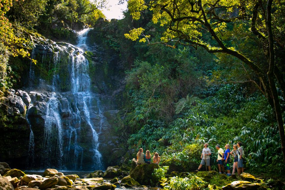 Big Island: Full-Day Kohala Zipline and Waterfall Adventure - Included Equipment and Amenities