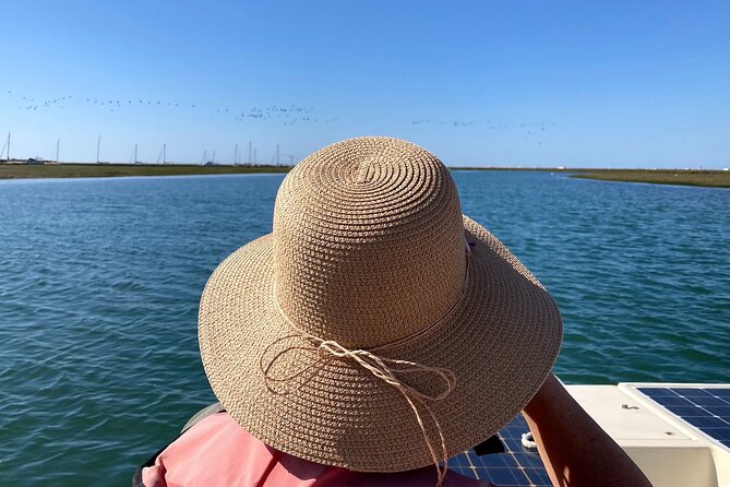 Birdwatching in Ria Formosa - Eco Boat Tour From Faro - Confirmation and Additional Information