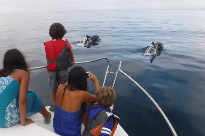 Boat Trip for Dolphin Watching Along the Arrabida Coast and Sesimbra - Additional Information