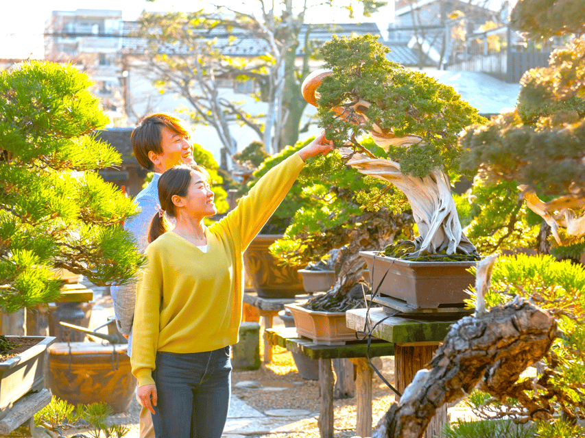 Bonsai City: Bonsai Tour & Experience at Bonsai Sanctuary - Getting to Bonsai Sanctuary