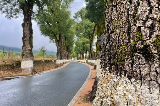 Buggy and Moto 4 Tours in Marvão - Reservation Process