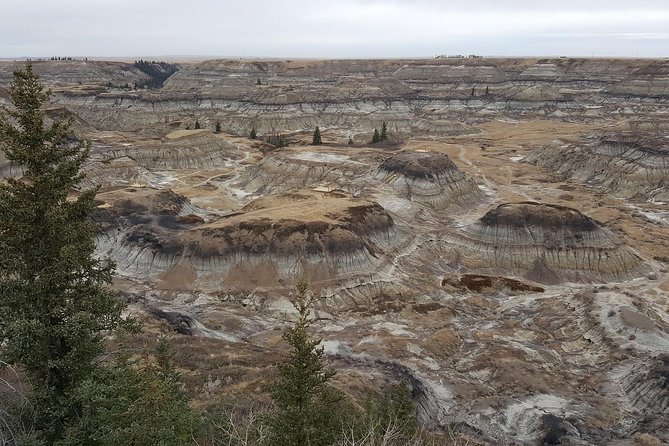 Calgary to Royal Tyrrell Museum | Drumheller – PRIVATE TOUR - The Royal Tyrrell Museum