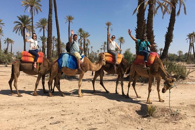 Camel and Quad in Marrakech - Tour Cancellation Policy