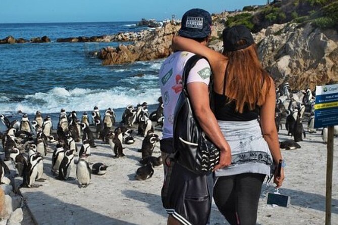 Cape of Good Hope-Cape Point - Penguins Private Tour Cape Town - Additional Information