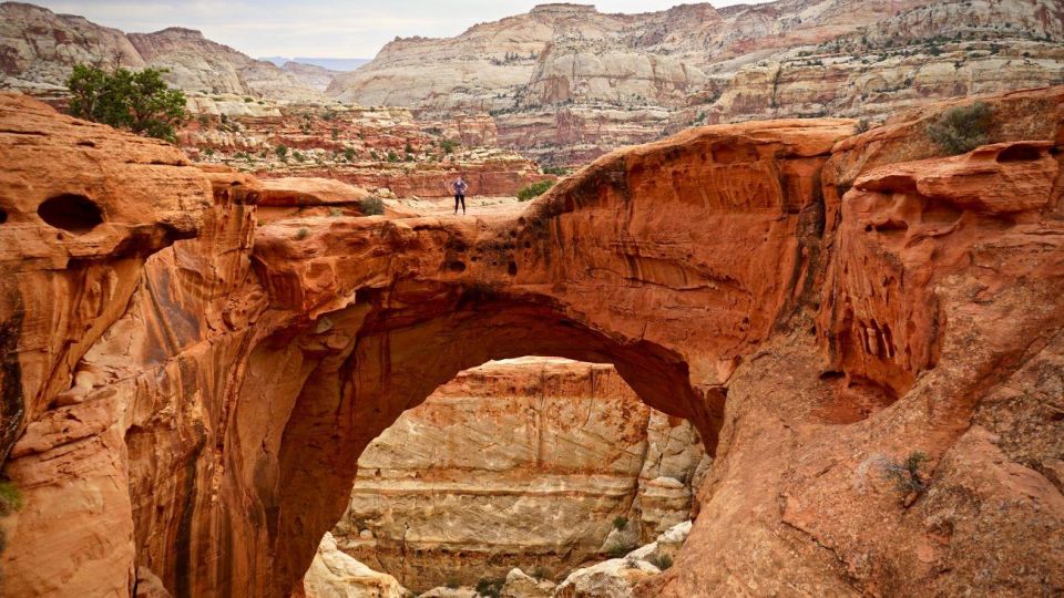 Capitol Reef: Small-Group Tour & Hike - Round-Trip Transportation Included