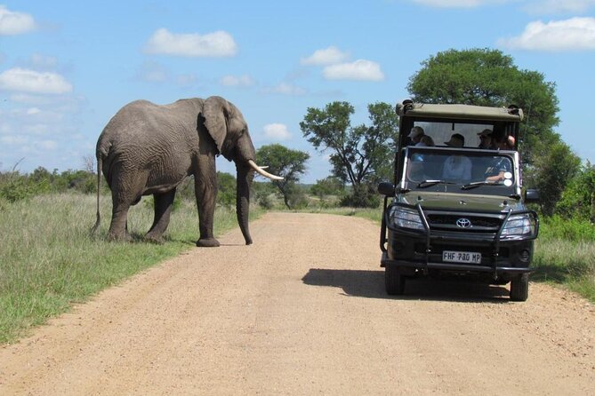 Captivating 2 Day Kruger Safari From Johannesburg - Exploring Kruger National Park