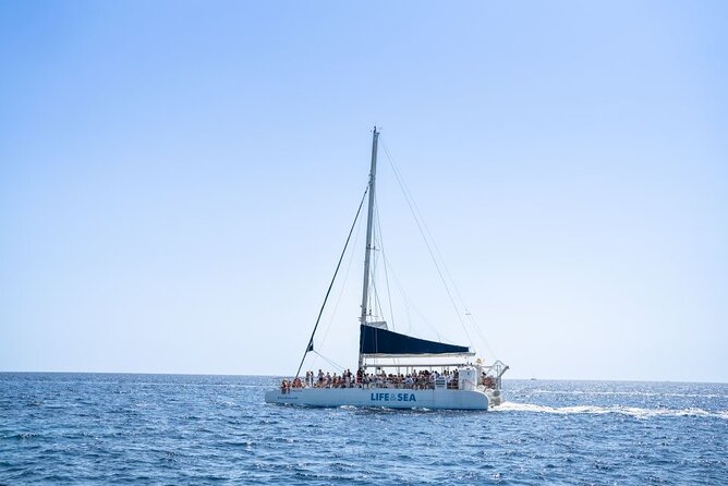 Catamaran With BBQ in the Bay of Palma - Customer Feedback and Reviews