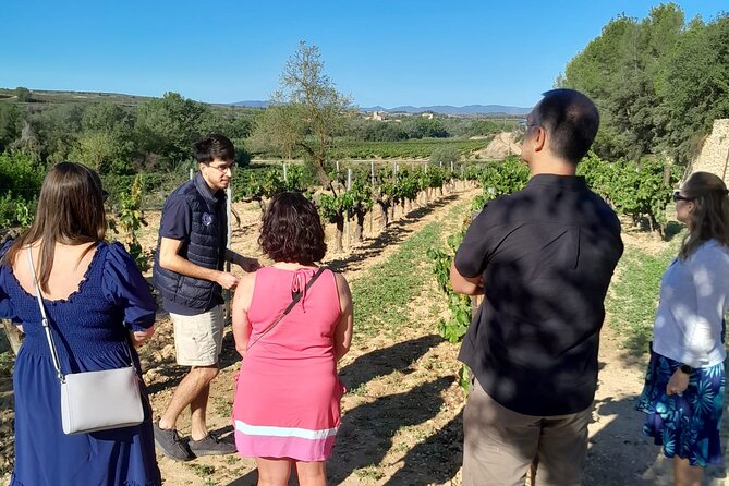 Cava Tour: 3 Wineries, Small-Group Tour, and Hotel Pick-Up - Tour Logistics