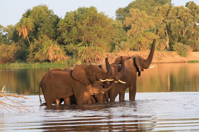 Chobe Full Day Trip - Included in the Tour