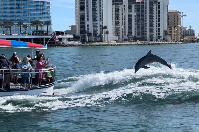 Clearwater Encounters With Dolphins Tour - Keepsake Opportunities