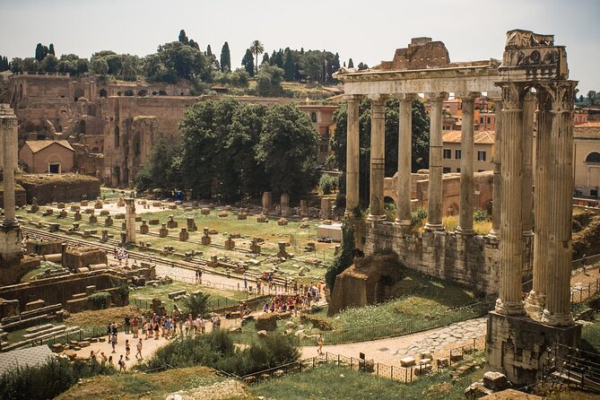 Colosseum, Roman Forum and Palatine Hill Fully Guided Tour - Admiring the Palatine Hill