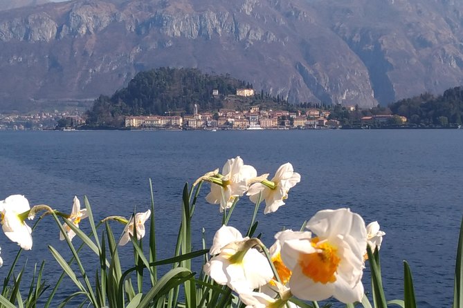 Day Tour From Milan: Lake Como & Bellagio With Cruise in a Small-Group Tour - Pricing and Booking