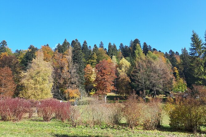 Day Tour Peles Castle - Caraiman Monastery From Brasov - George Enescu Memorial House